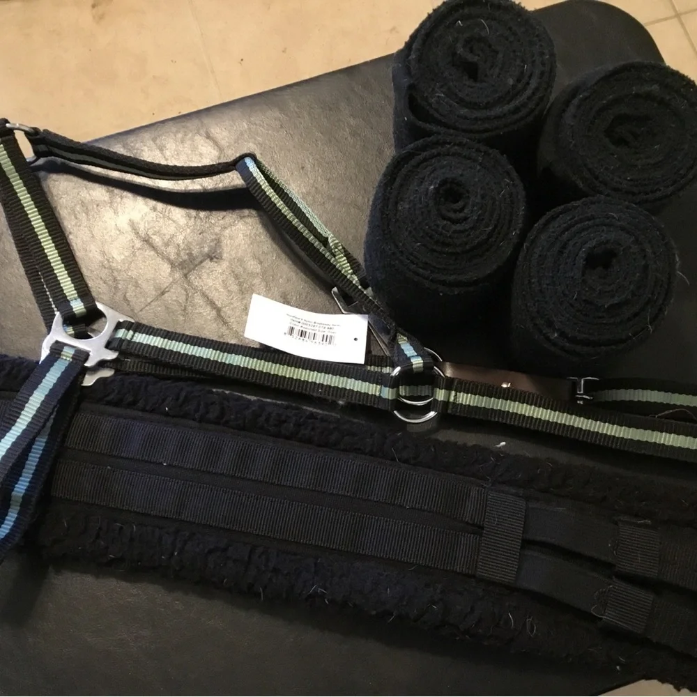 Dressage horse tack bundle - Picture 2 of 6